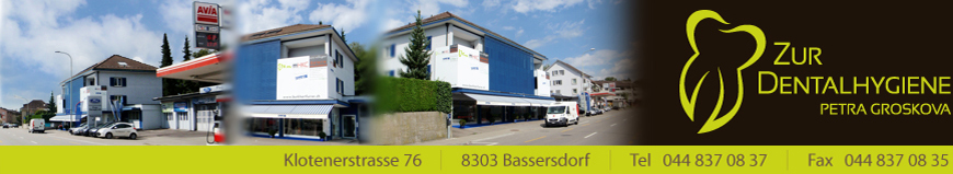 Banner - Petra Groskova