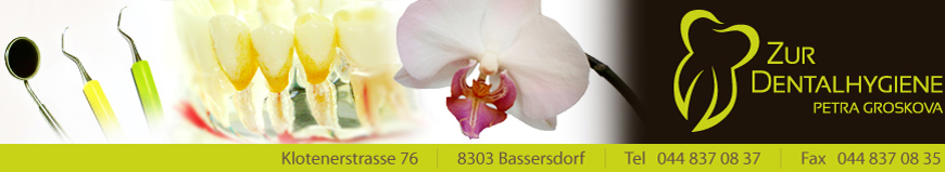 Banner - Petra Groskova