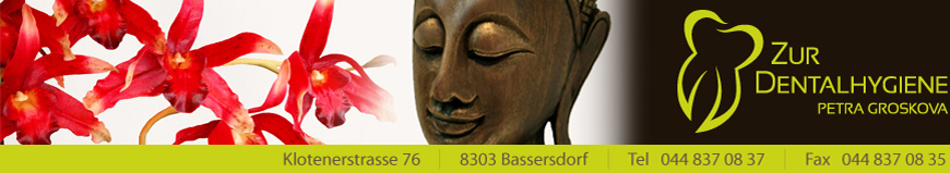 Banner - Petra Groskova