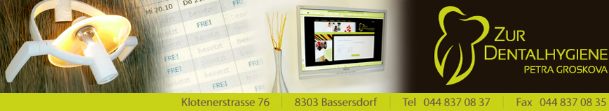 Banner - Petra Groskova